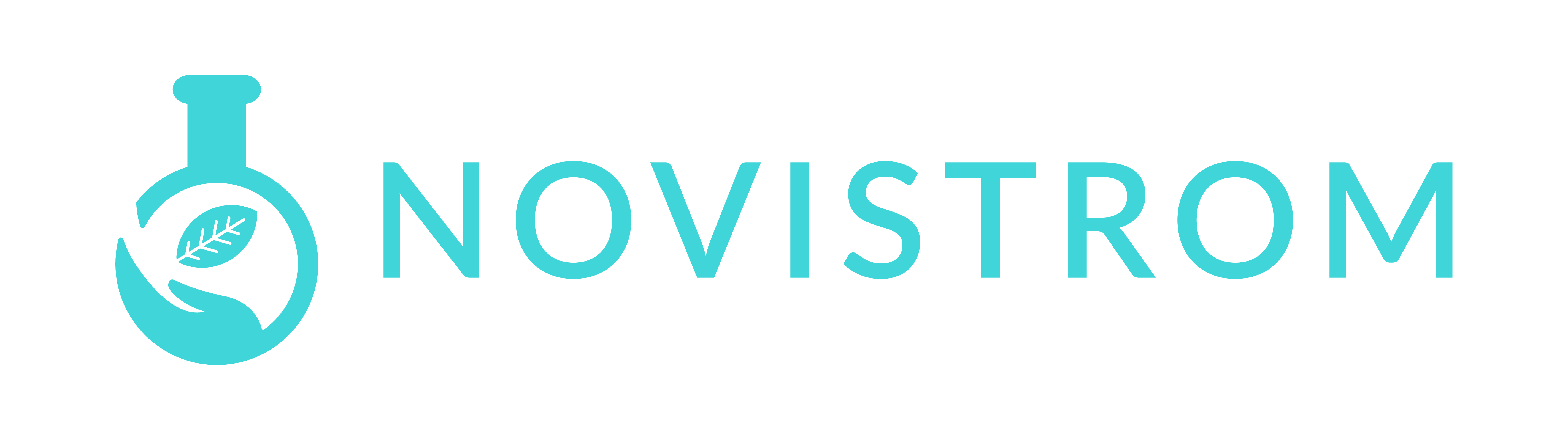 Novistrom Logo in Colour